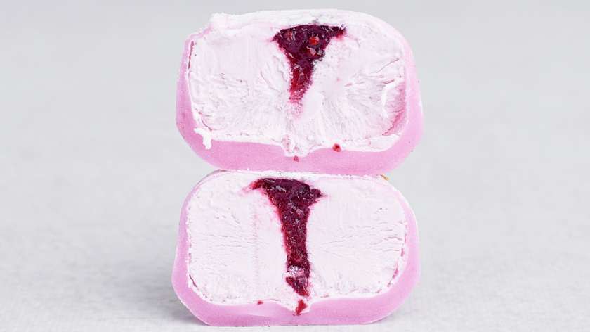 12.Leśna Rozkosz Mochi Mochi ICE