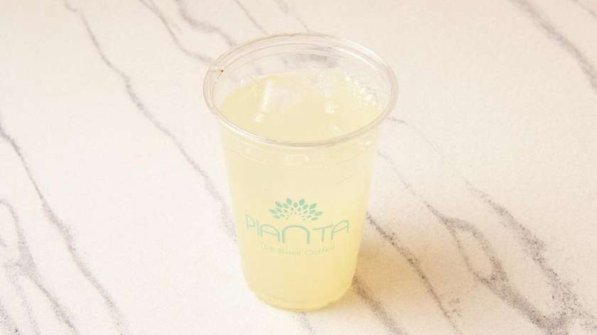 Lemon Squash
