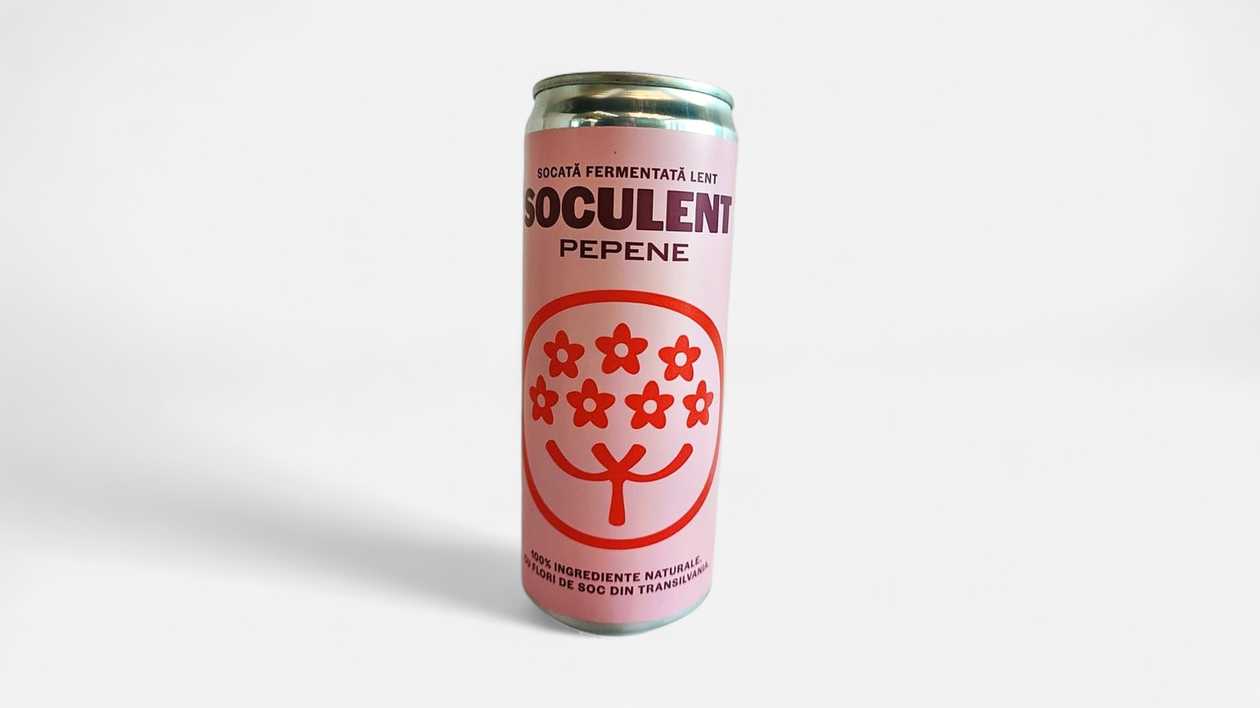 Elderflower & Watermelon Drink - SOCULENT