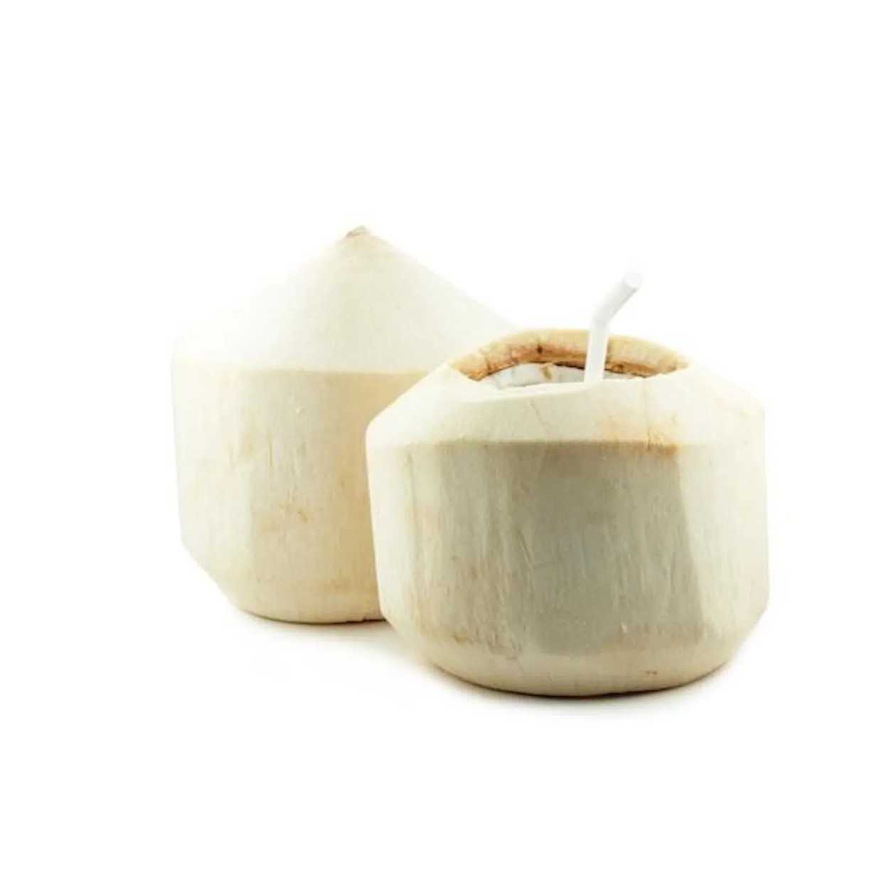 Young coconut  1gab.