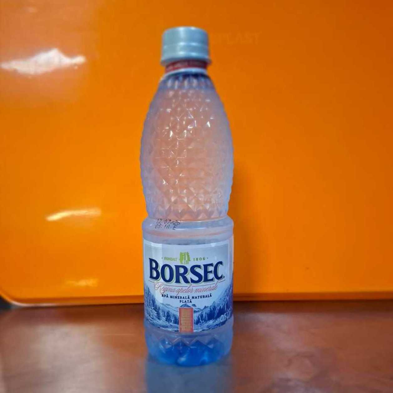 Apa plata Borsec 0,5L