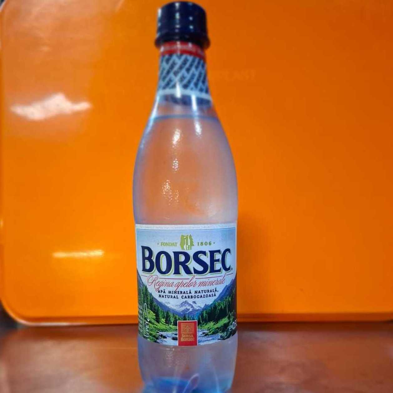 Apa minerala Borsec 0.5L