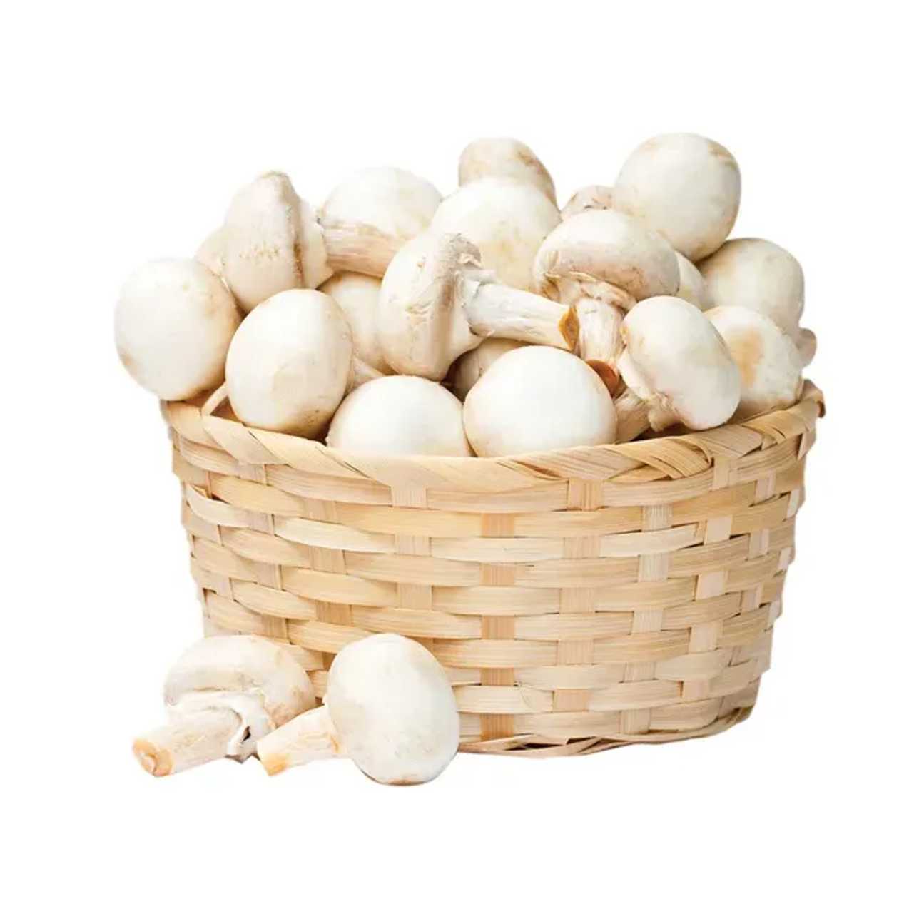 Ciuperci grill 500 g buc