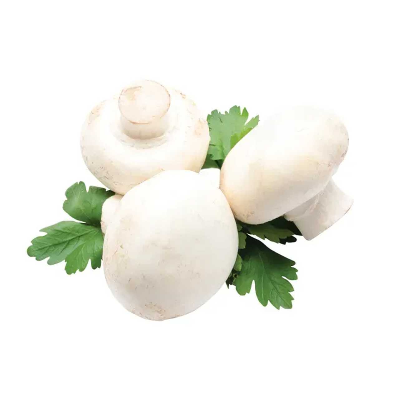 Ciuperci grill caserola 1 kg