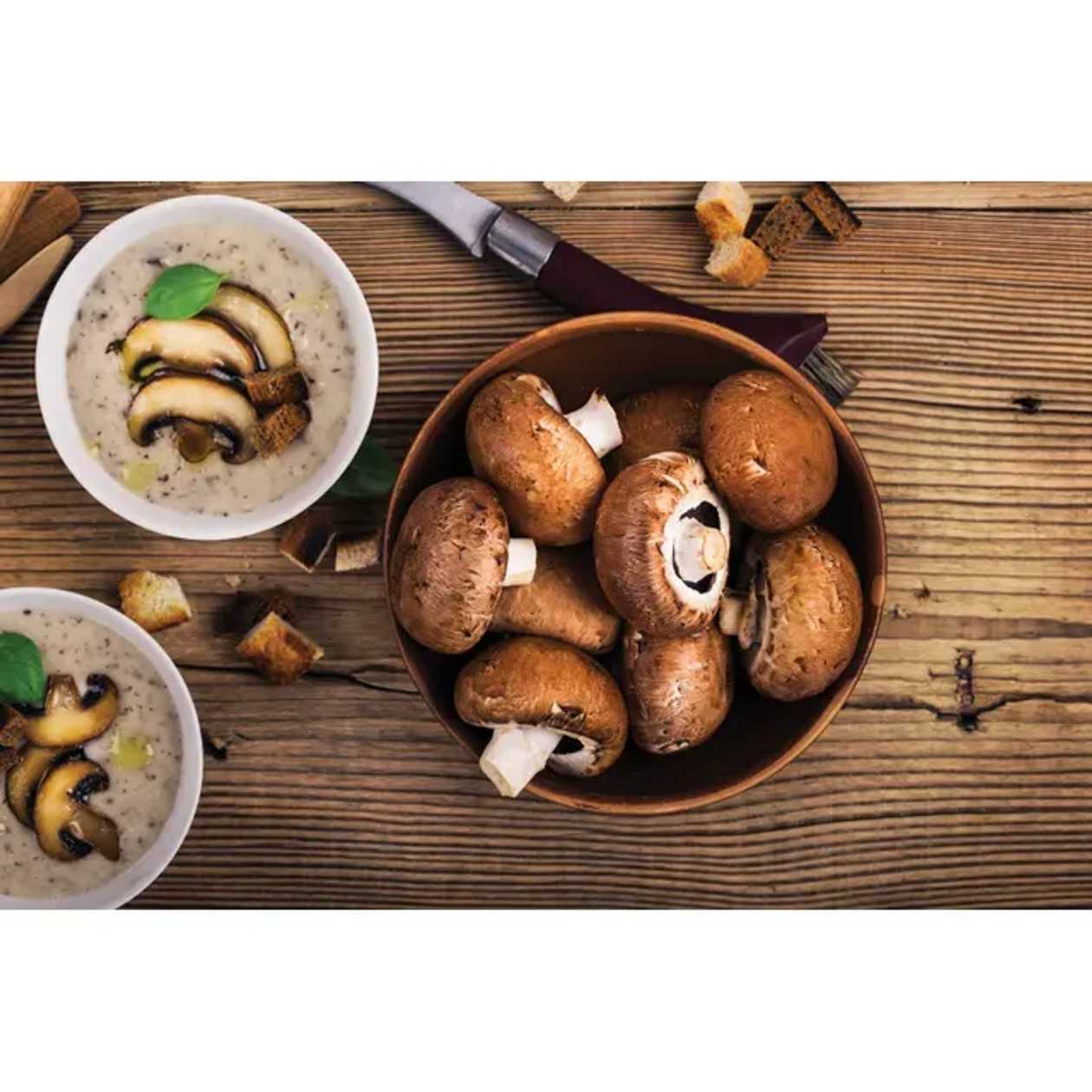 Ciuperci brune 500 g buc