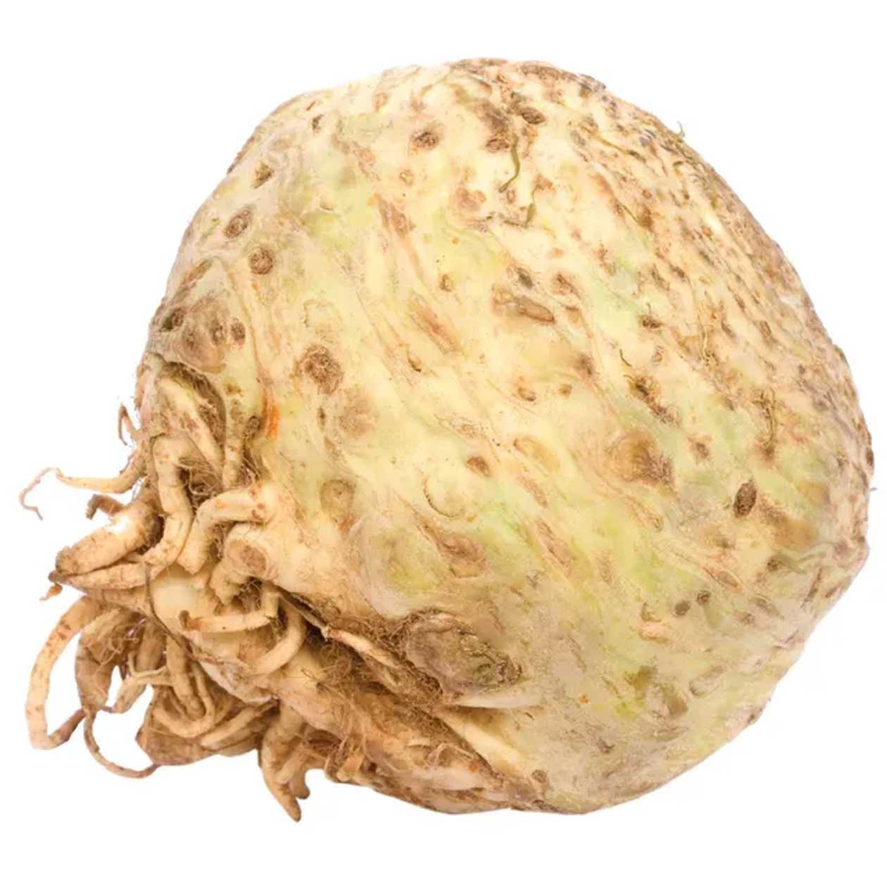 Telina vrac / kg 1 KG