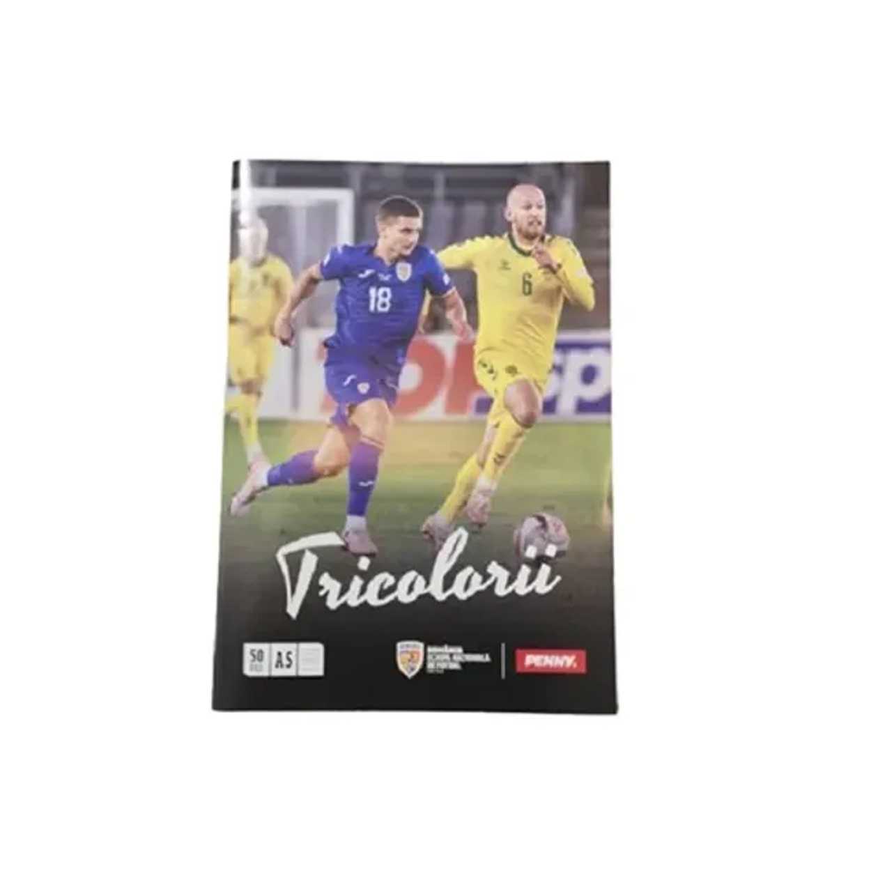 Caiet A5 Dictando, Tricolorii