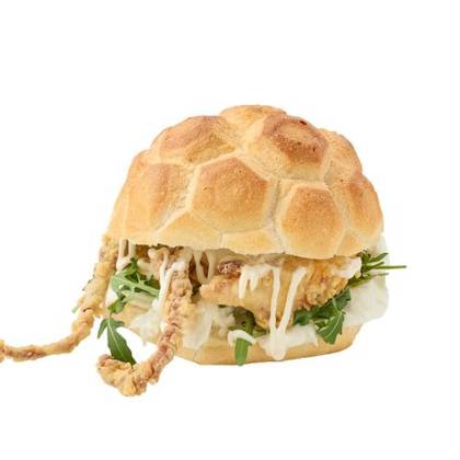 Tartaruga cu caracatiță pane