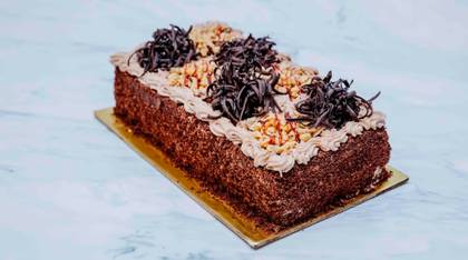 Exclusive L (15 persons) (white biscuit, walnut, cream)