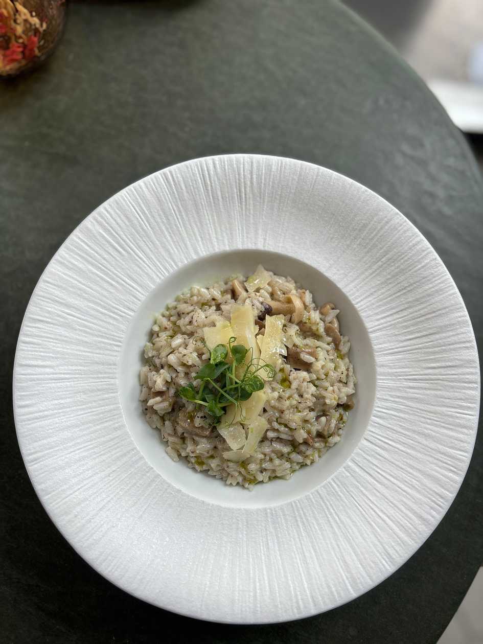 RISOTTO WITH WILD MUSHROOMS