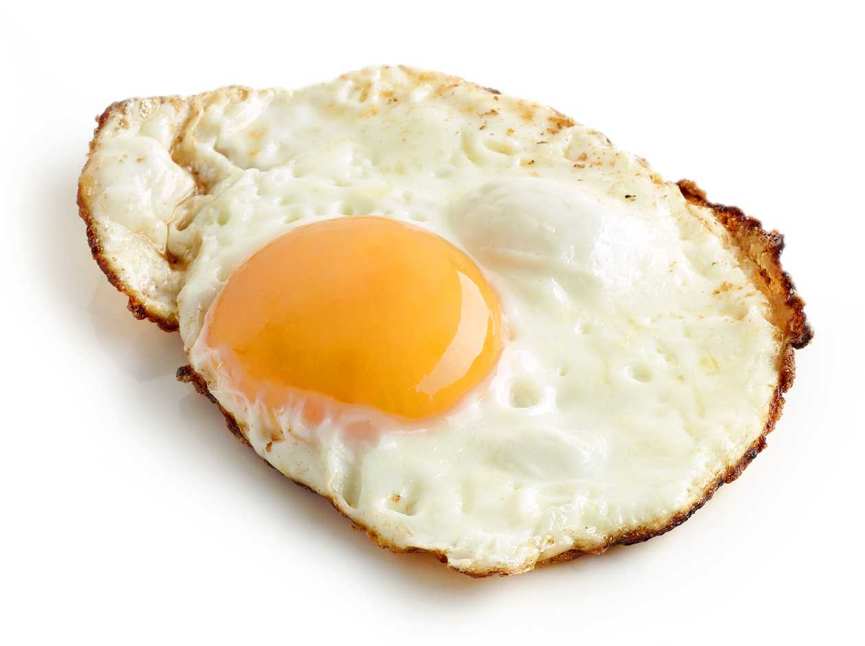 Egg