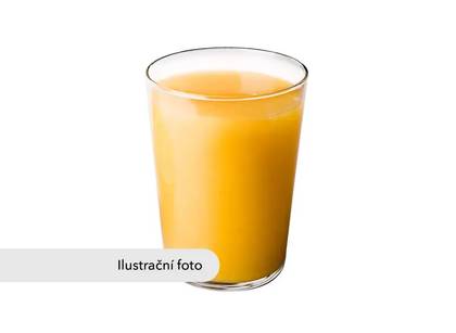 Mango džus 0,33l plech