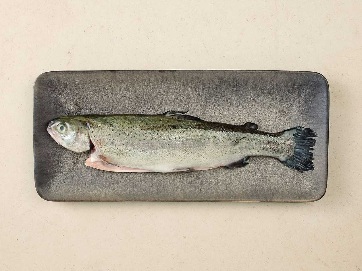 Grilled trout + sauce & lemon