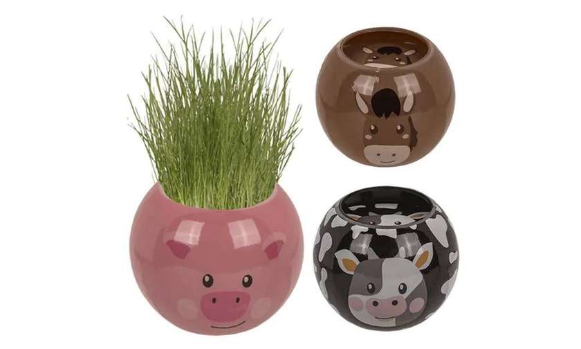 Fun Grass Head FARM ANIMALS