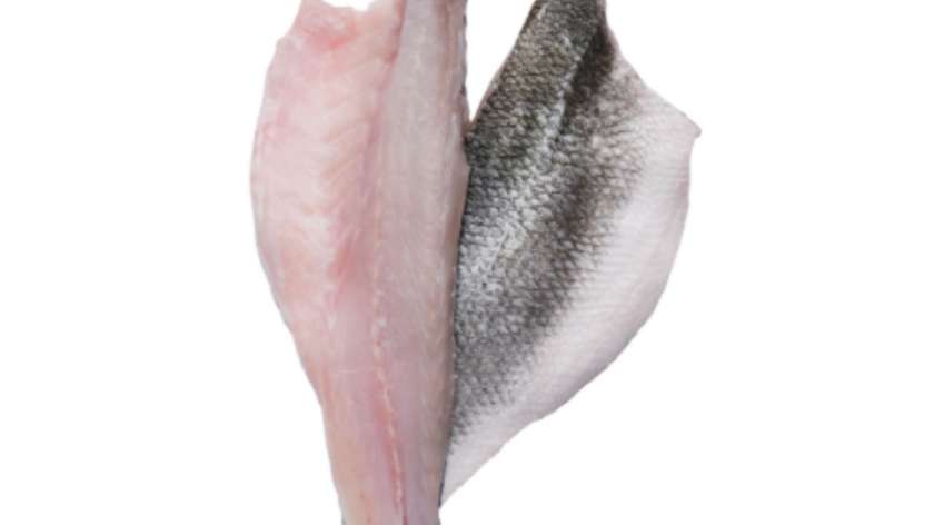 Organic Sea Bass Fillet 400g