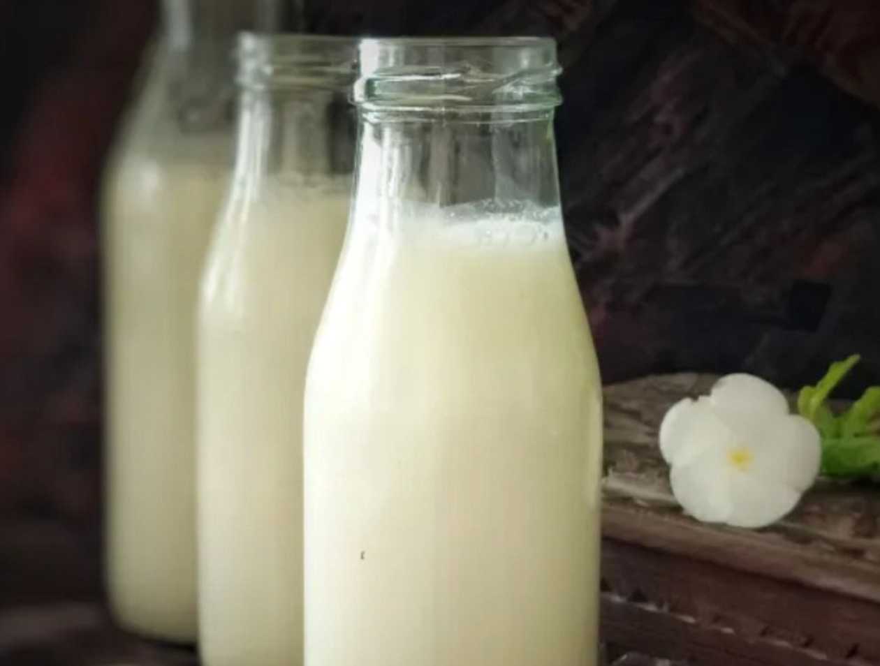Spicy Lassi 300ml
