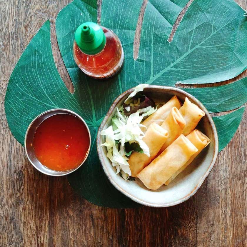 CRISPY ROLLS - VEGANSKÉ