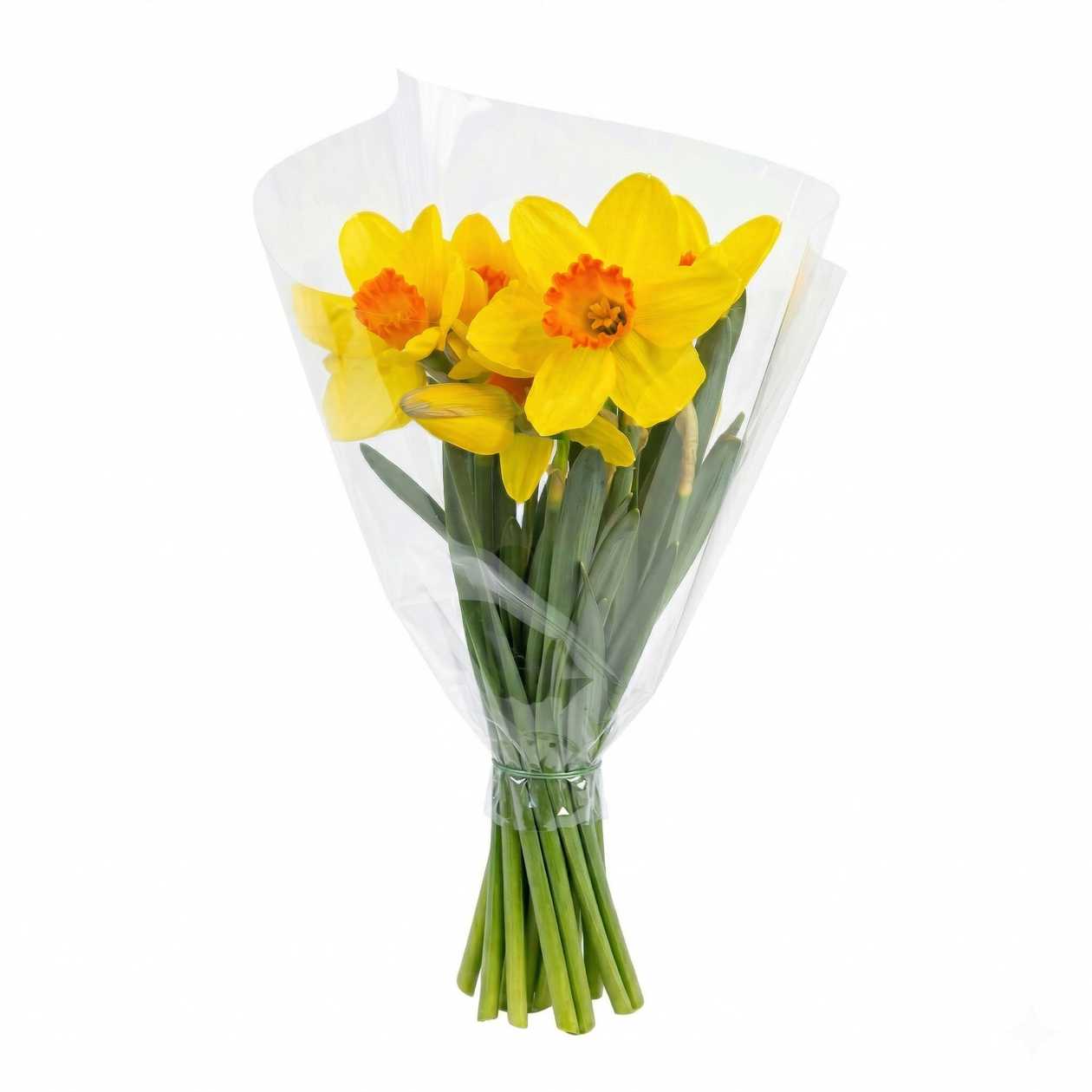 Daffodil bouquet, 10pcs