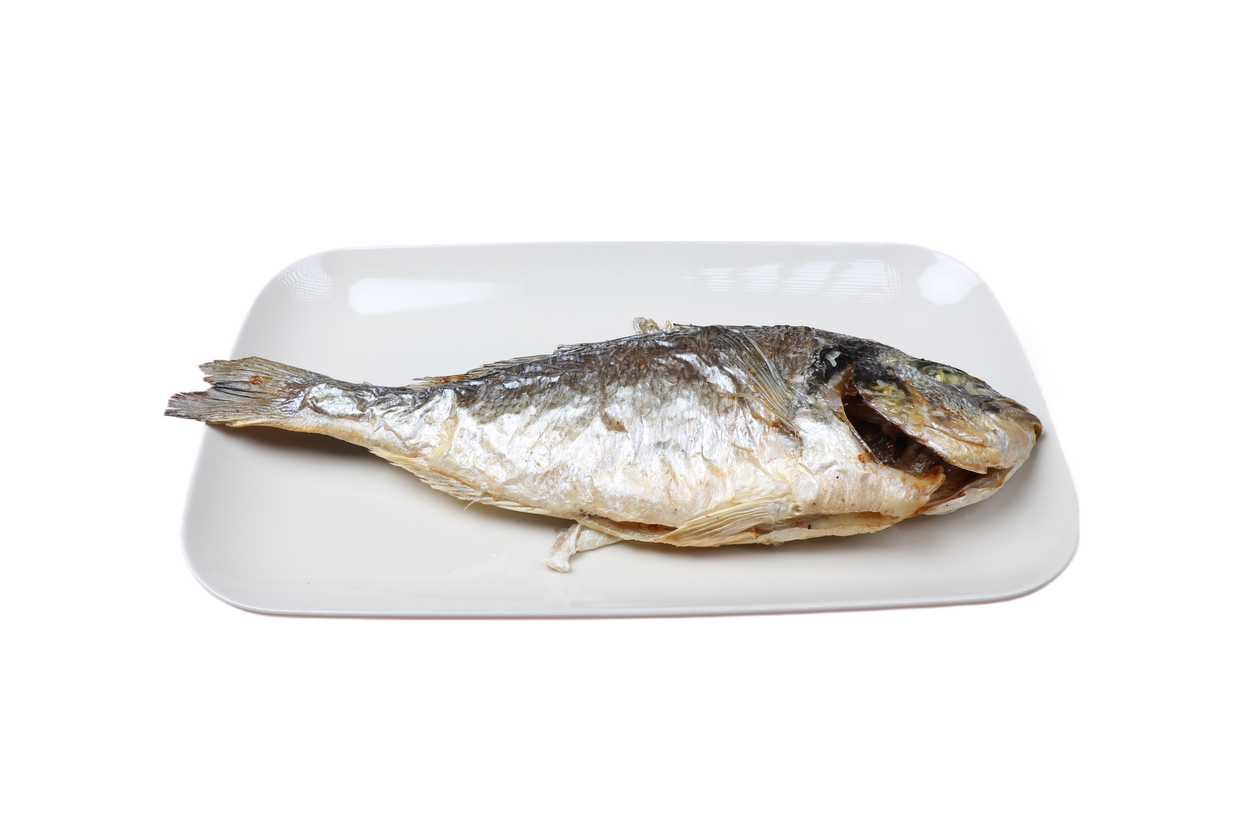 Grilled Sea Bream 550gr