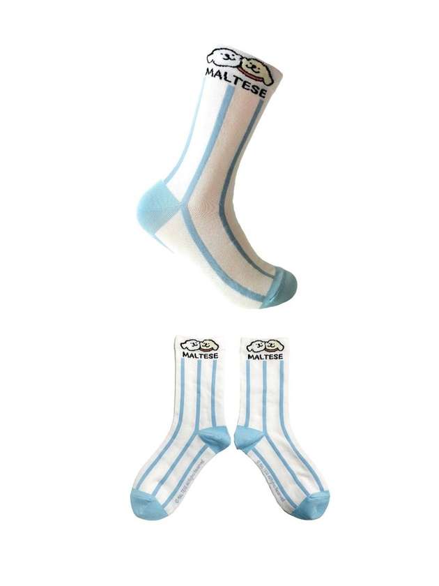 Maltese Collection Crew Socks(Blue)