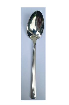 Stainless Steel Spoon