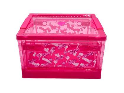 Barbie Pink Collection Foldable Organizer with Side Opening (XXS)