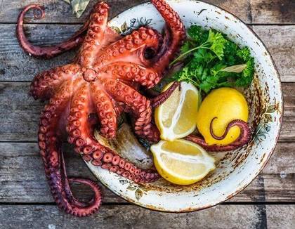 Grilled Fresh Octopus