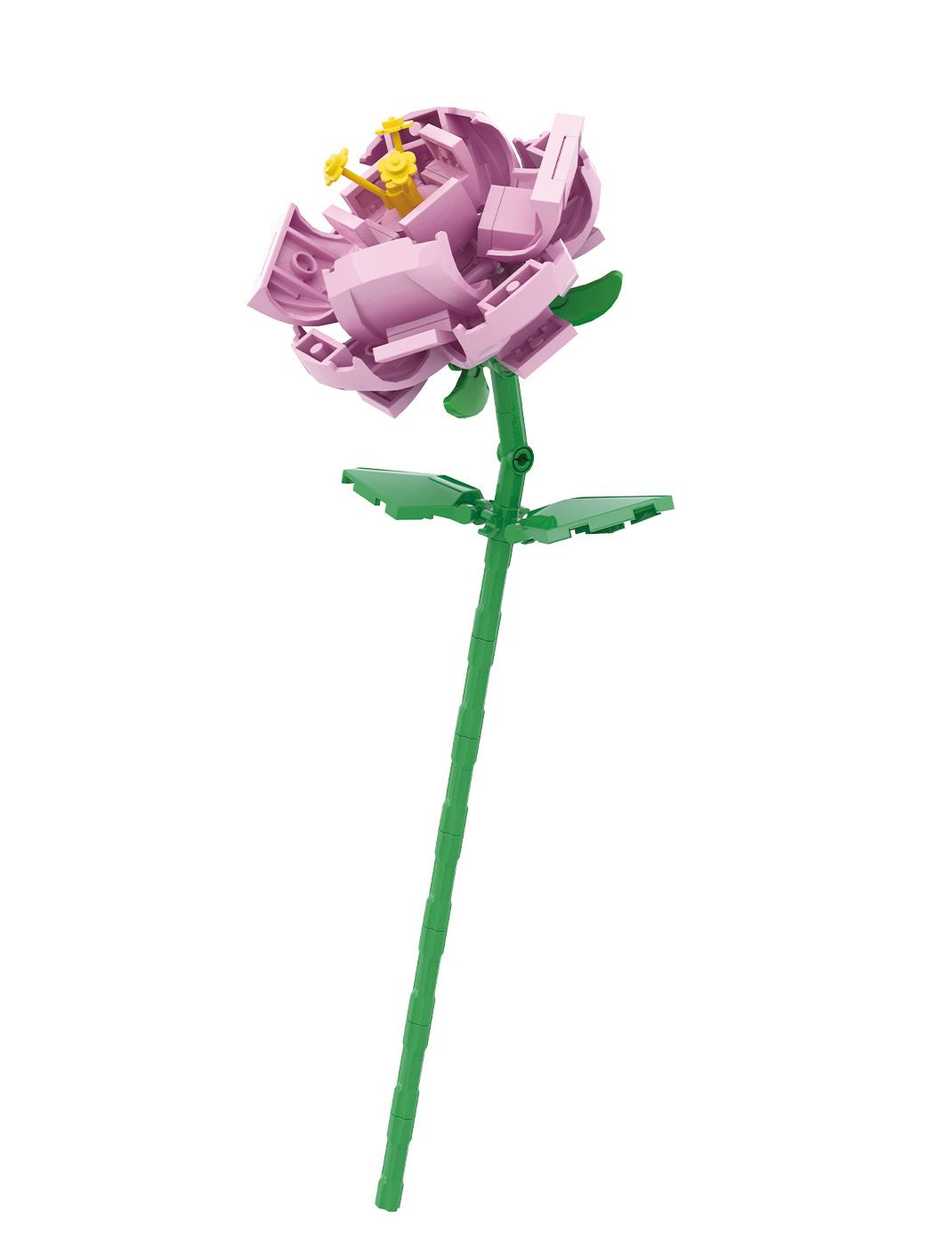 Multiflora Rose Building Blocks