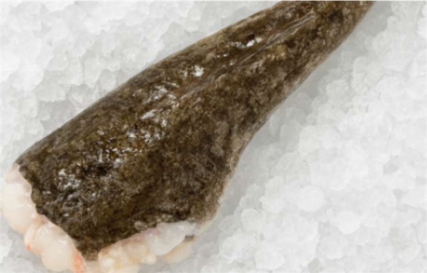 Monkfish Tail (approx. 0.8 kg)