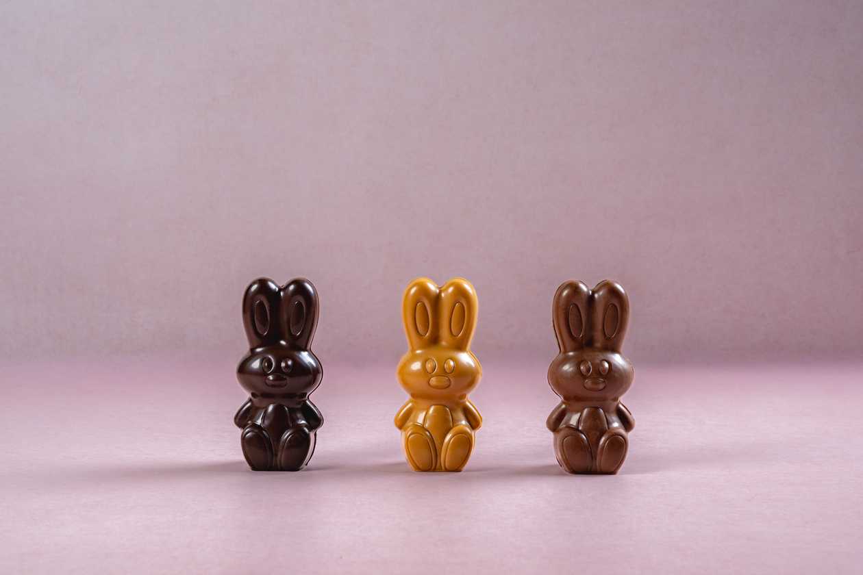 Trio Hoppy Bunnies