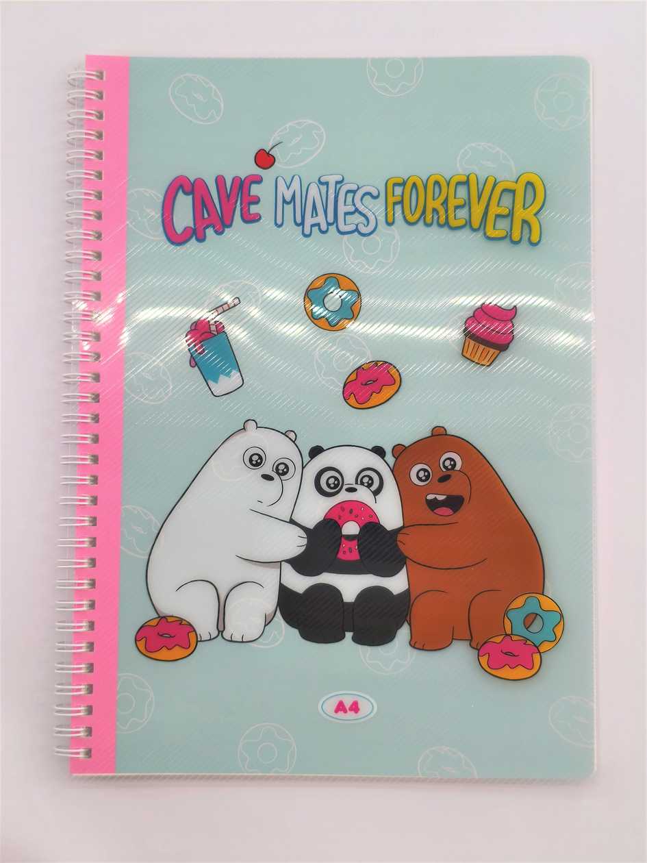 We Bare Bears Collection A4 PP Wire-bound Book (60 Sheets)
