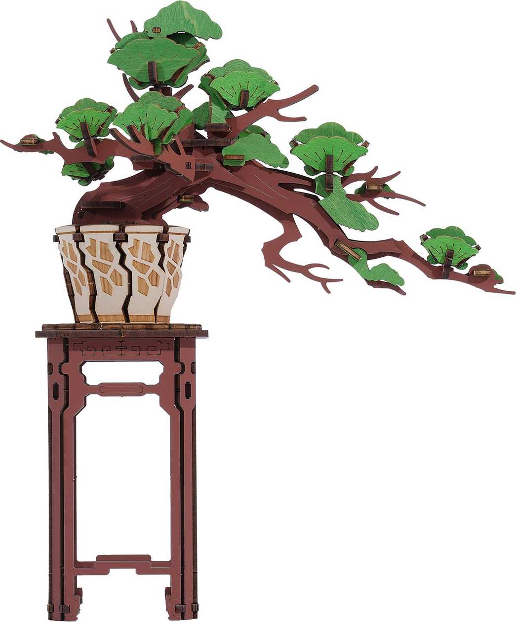 Evergreen Pine Bonsai