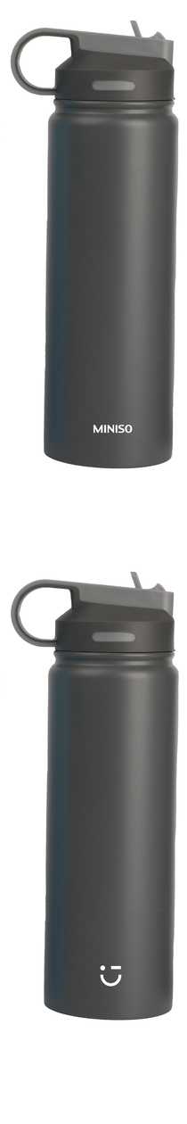 Solid Color Stainless Steel Bottle with Handle and Straw Lid (900mL) (Gray)