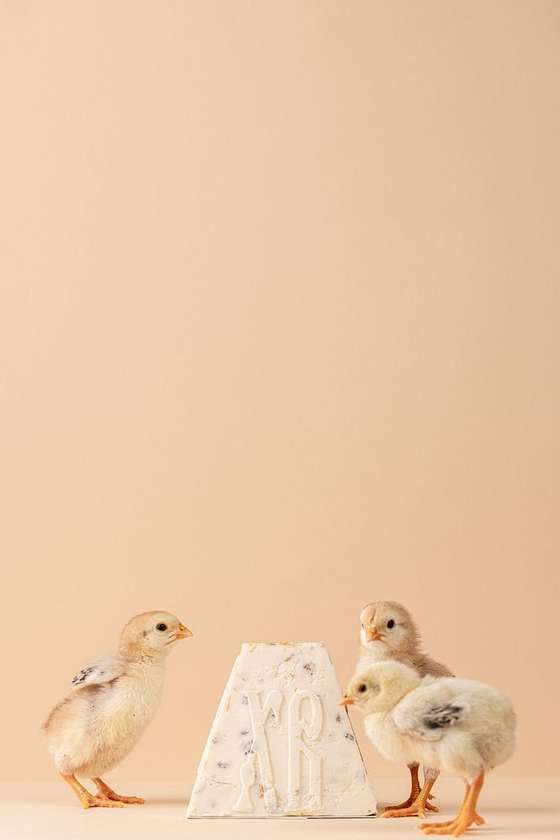 Паска Сирна Фігурна