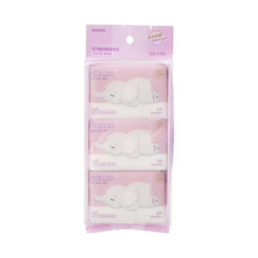 Womens Mini Flushable Wipes (6 Packs of 6)