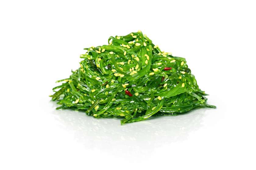 The Forest under the Sea