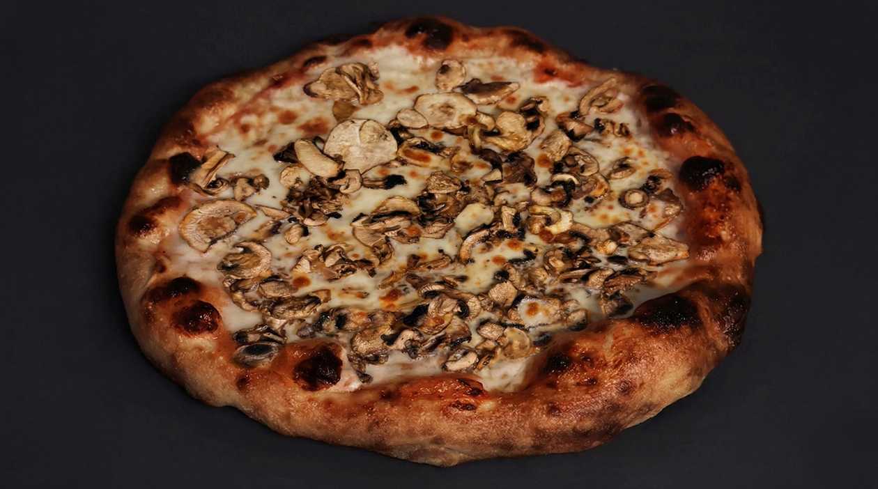 Funghi