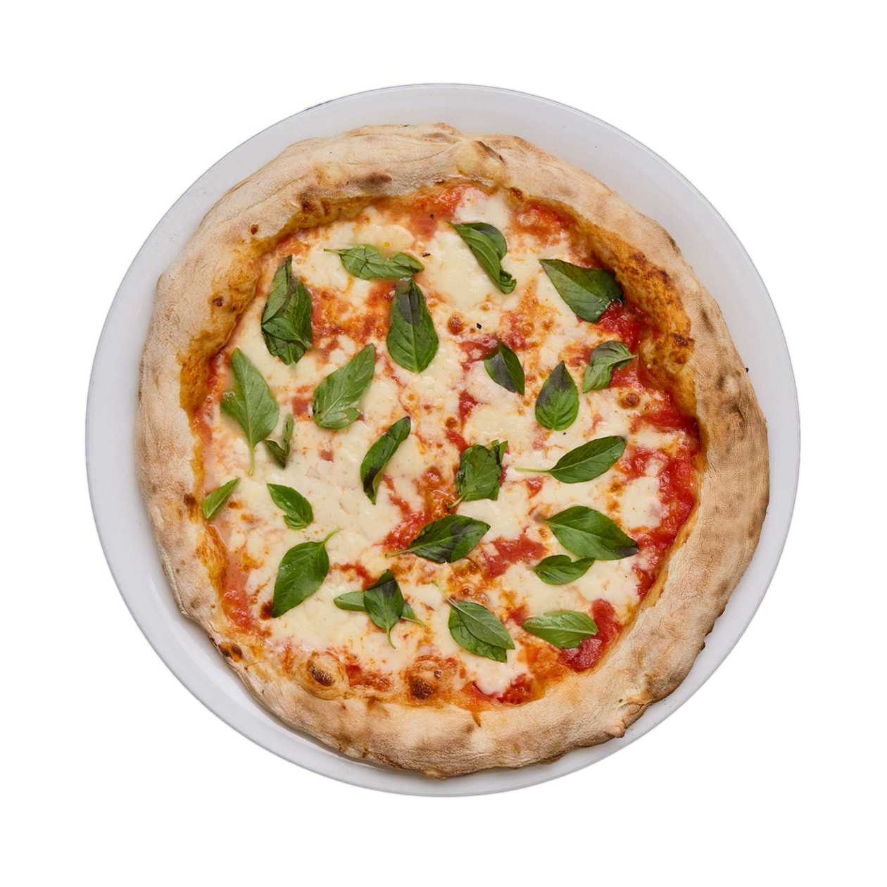 Margherita Pizza