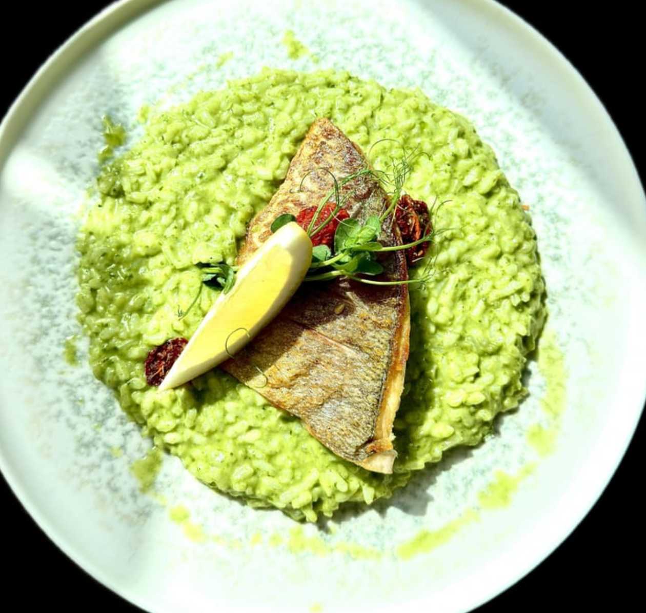 DORADA CU RISOTTO VERDE