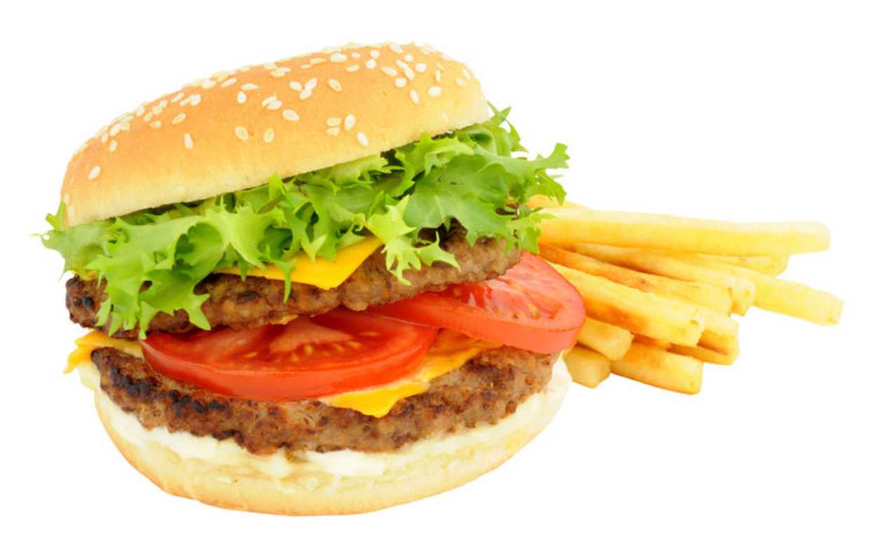 Double cheeseburger with fries