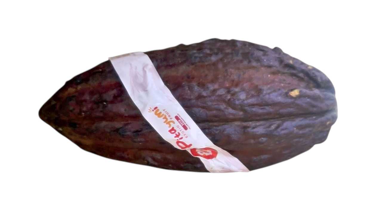 Cocoa Fruit 0.9-1kg