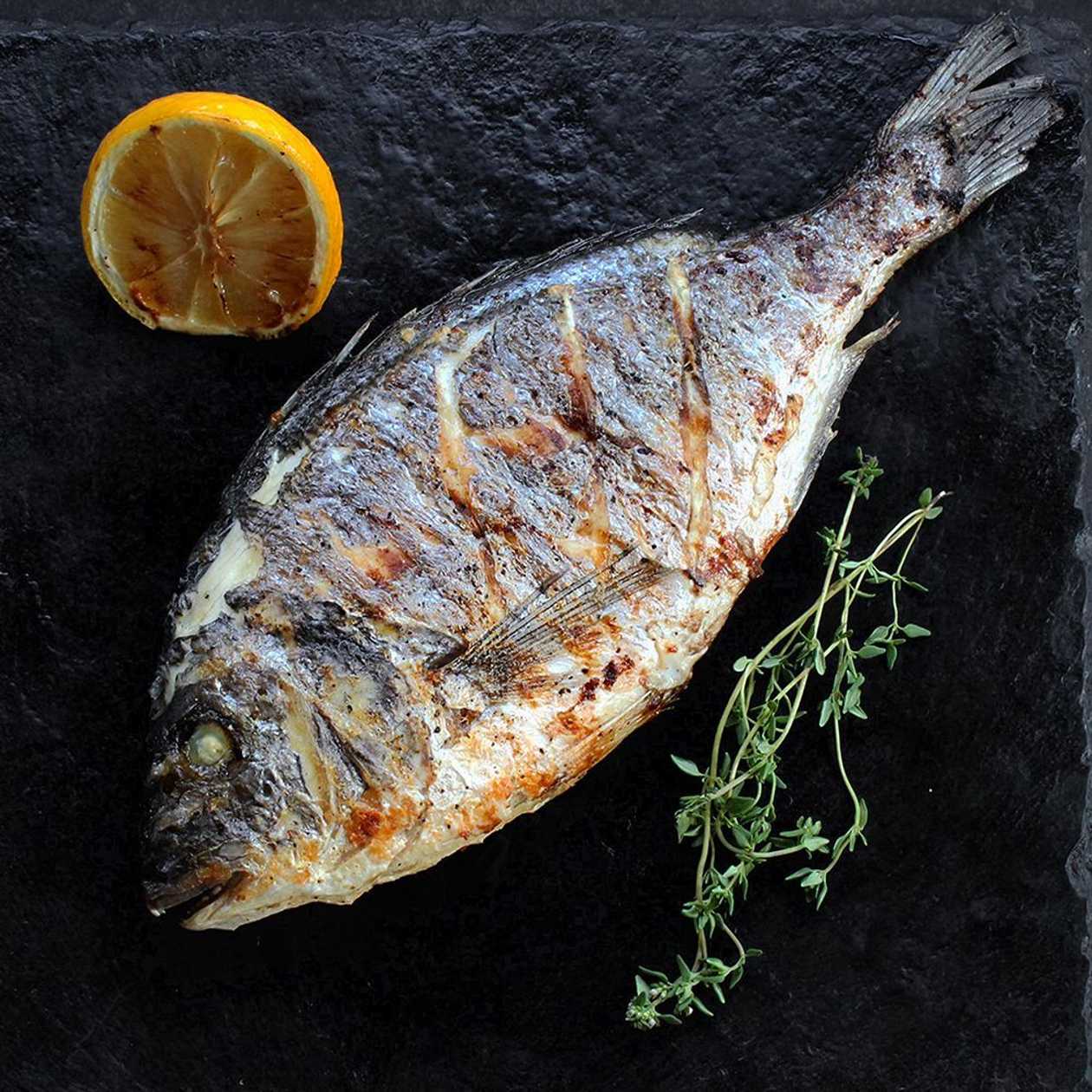 Grilled Dorado