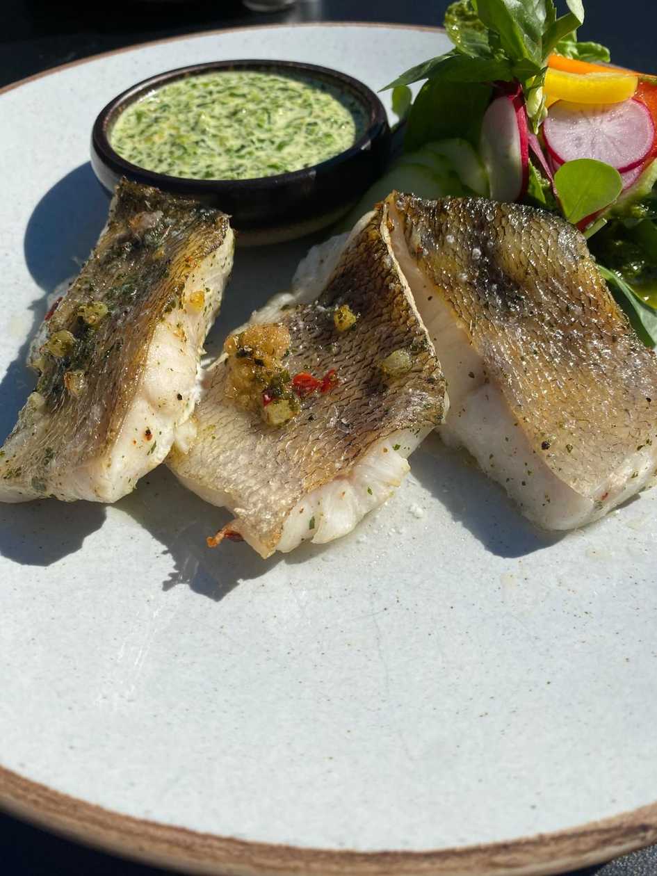 Pike perch fillet with fresh vegetable salad and creamy spinach, lime sauce