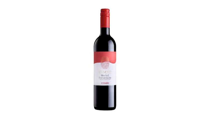 Cesari Essere Merlot pdl
