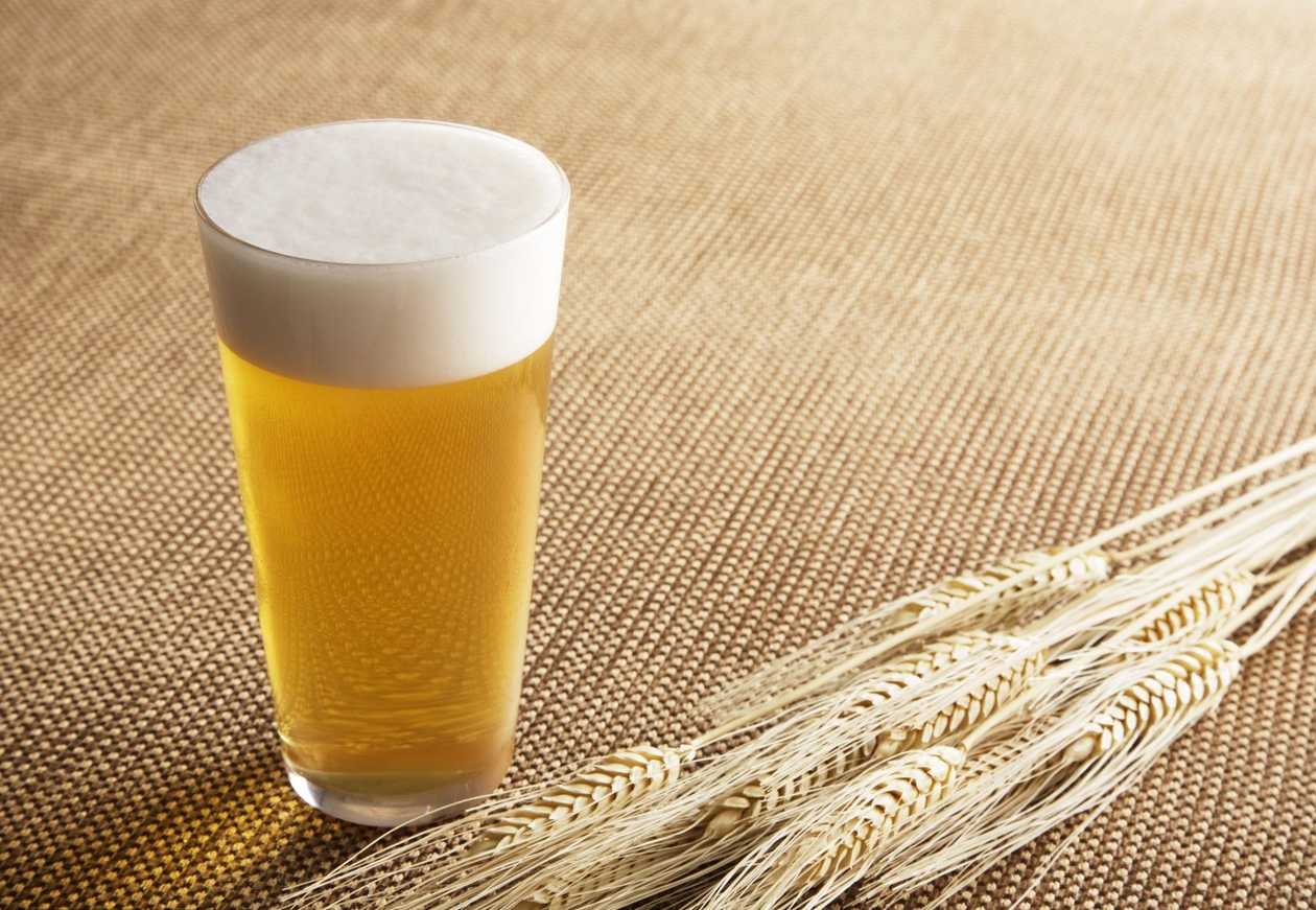 Пиво Альт Хопфен 4,8% Акція -50% на 2-й кг