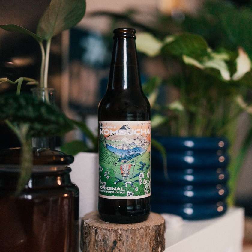 Vigo Kombucha