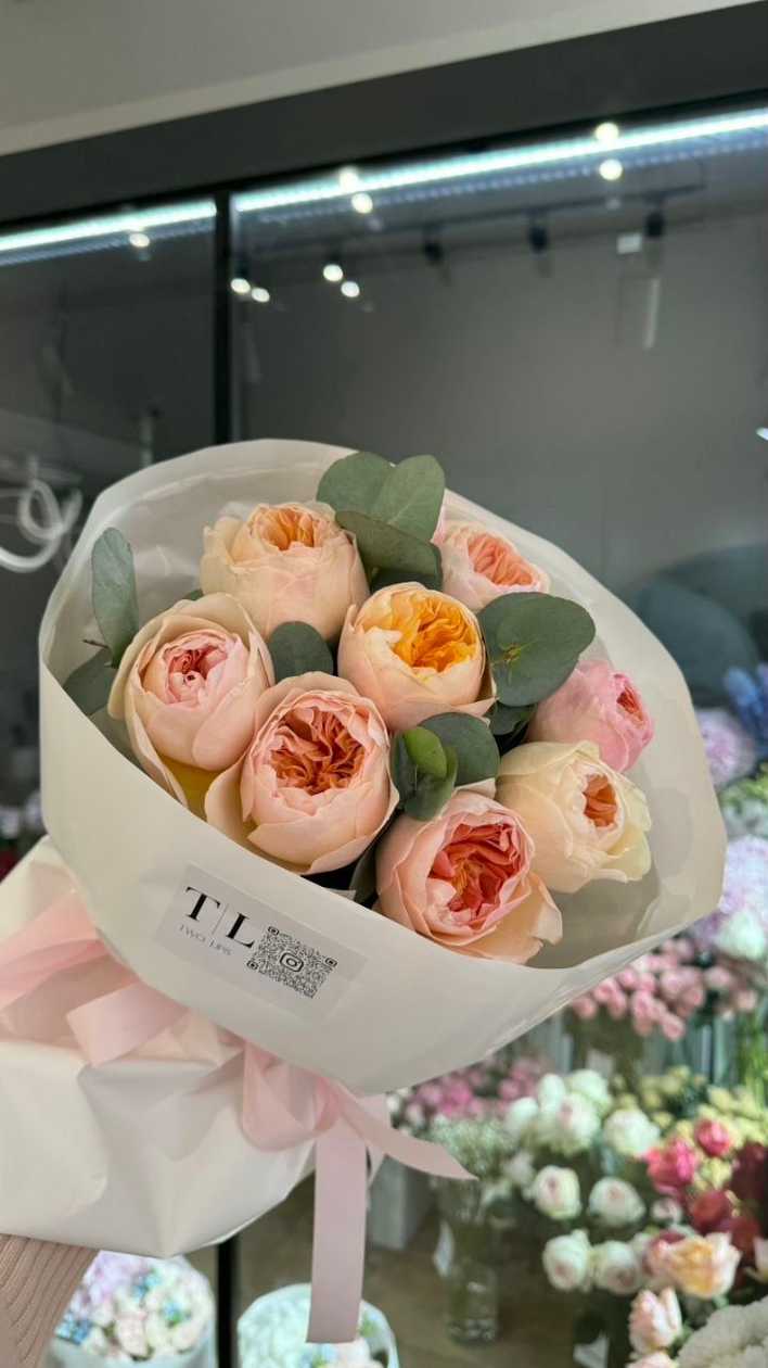 David Austin Peony Roses