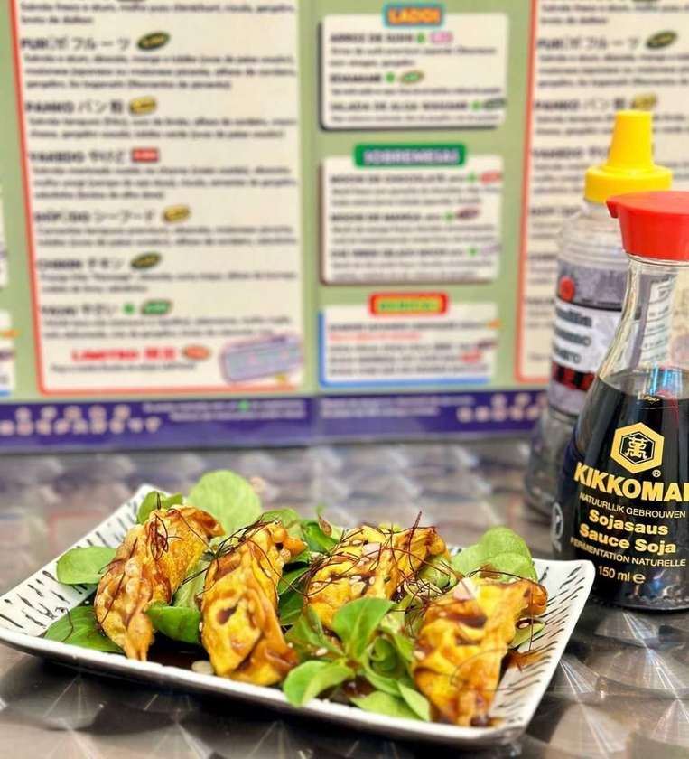 Katsu Curry Chicken Gyoza