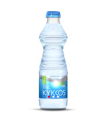 Water Bottle