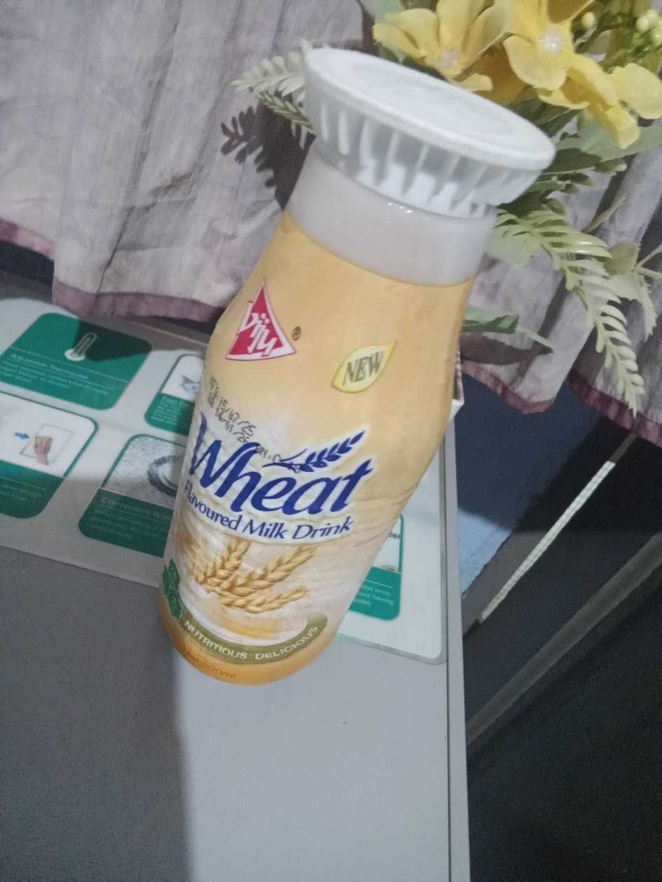 Chilled wheat flavoured milk drink